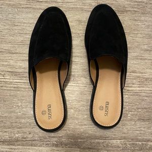 Brand new Susina bit loafers